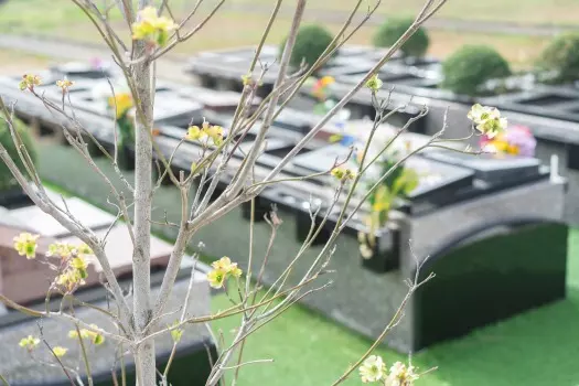 ひびき灘公園墓地_12