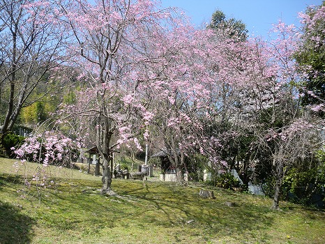 桃山春秋苑0
