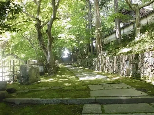 苗秀寺アショカ苑_6