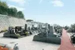 想いでの丘