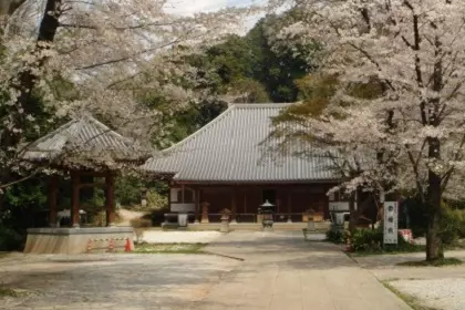 天岑寺墓苑_0