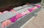 シムティエール山手の杜