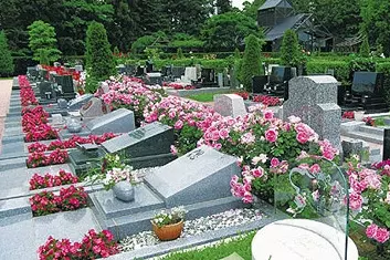 佐倉ふれあいパーク_3