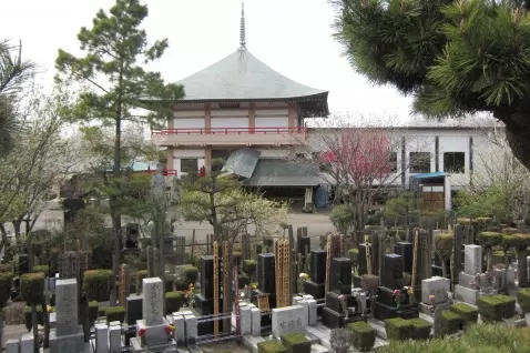 円福寺　大利根霊園_0