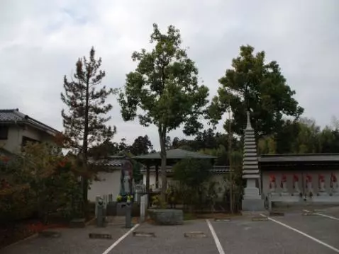 白井平等聖地霊苑_5