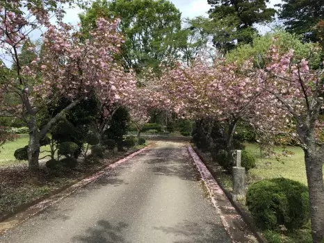 京葉霊園_6