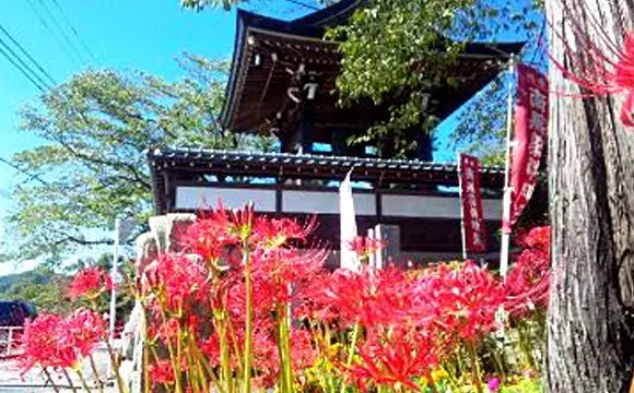 秋川薬師霊苑_11