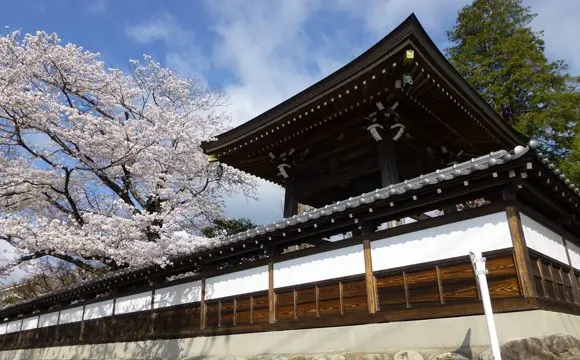 秋川薬師霊苑_3