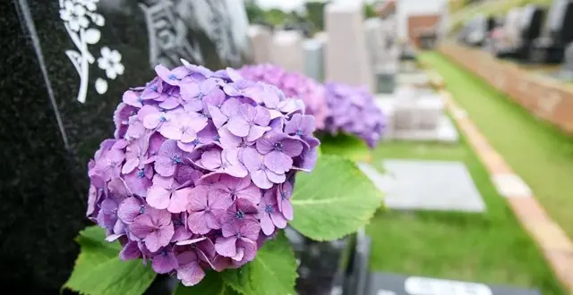 青葉ニュータウン霊園_3