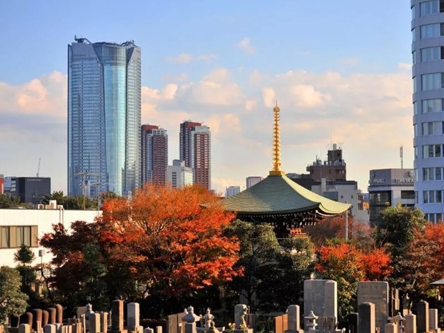 青山 梅窓院墓苑 青山 梅窓院墓苑