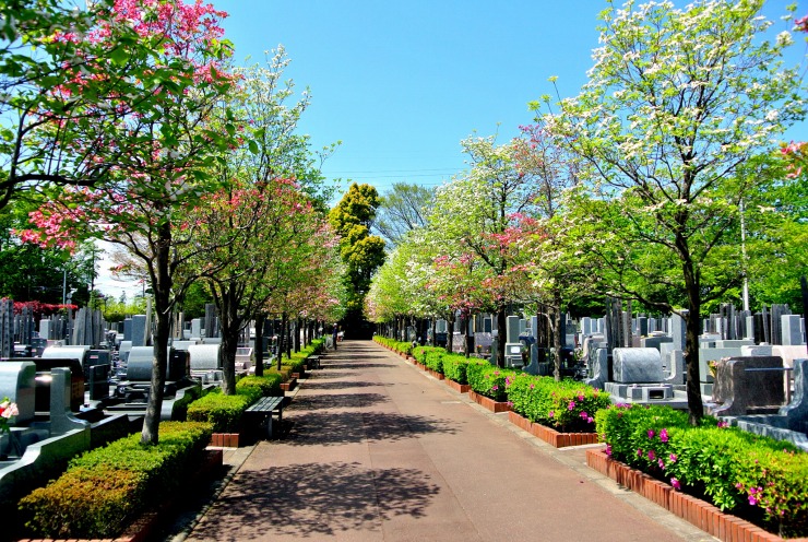 セメタリー所沢 セメタリー所沢