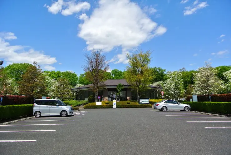 セメタリー所沢_6