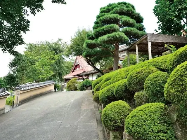 大泉寺墓所_3