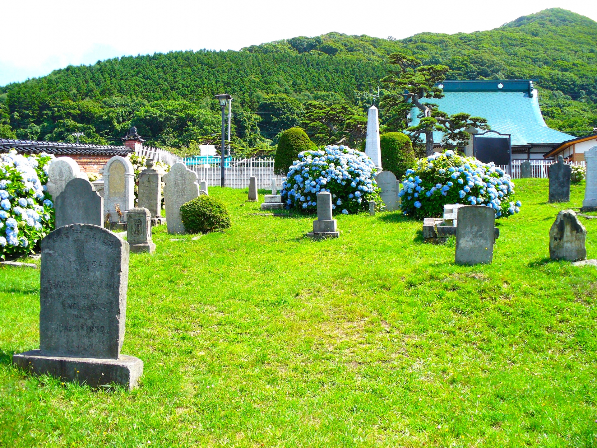 土葬の遺骨を改葬して墓じまいするには?