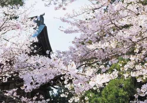 大本山　円覚寺_4