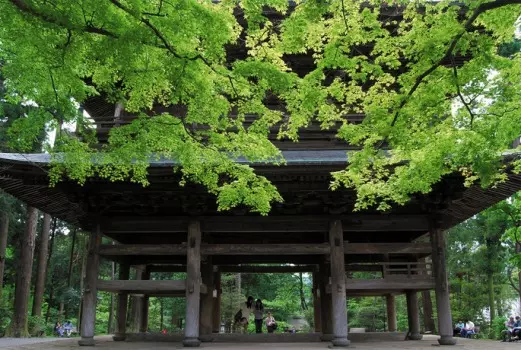 大本山　円覚寺_5