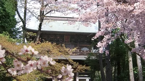 大本山　円覚寺_3