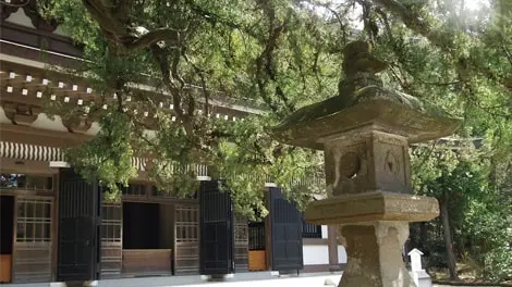 大本山　円覚寺_4