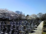 弘法寺