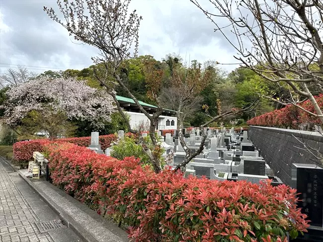八景苑_3