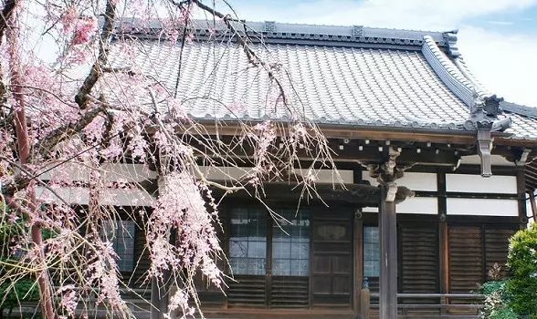 法華山　本興寺_0