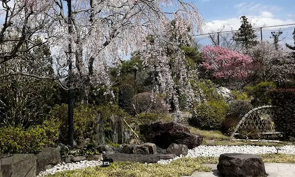 いちかわ大町霊園_5