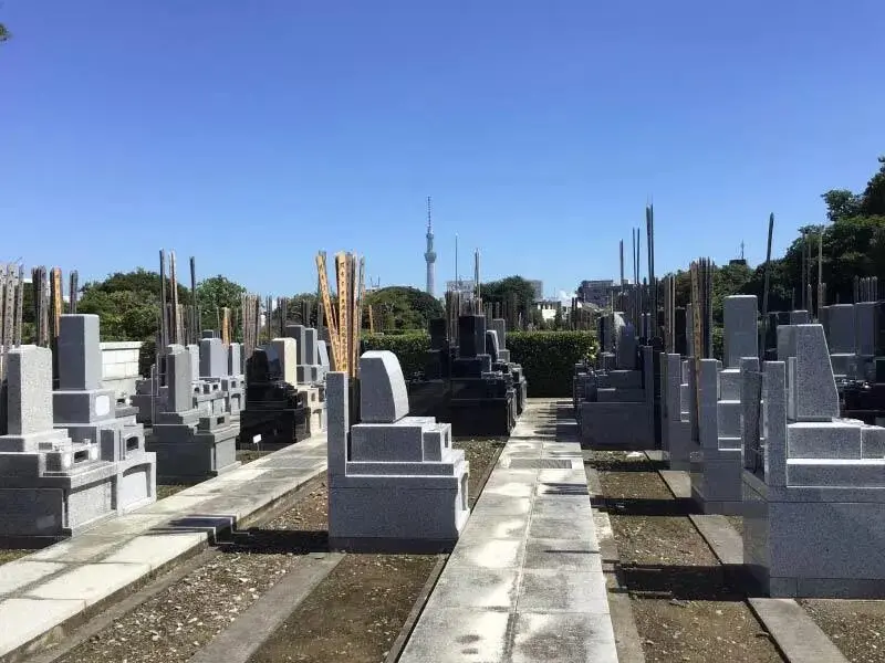 寛永寺　谷中霊園_3