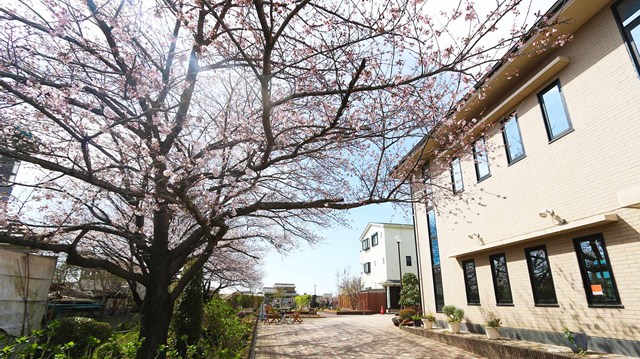 かすかべ東霊園 かすかべ東霊園