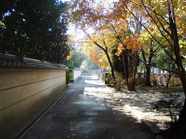 興善寺公園墓地_7