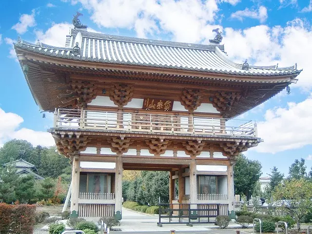 興善寺公園墓地_3