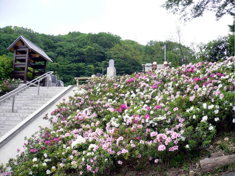南平浄苑の画像1
