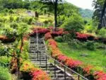 千の風みらい園