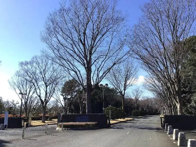 藤沢市営　大庭台墓園_12