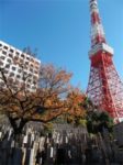 瑠璃光寺