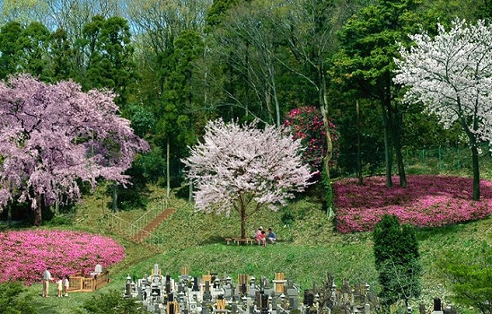 樹木墓地「陽光の杜」