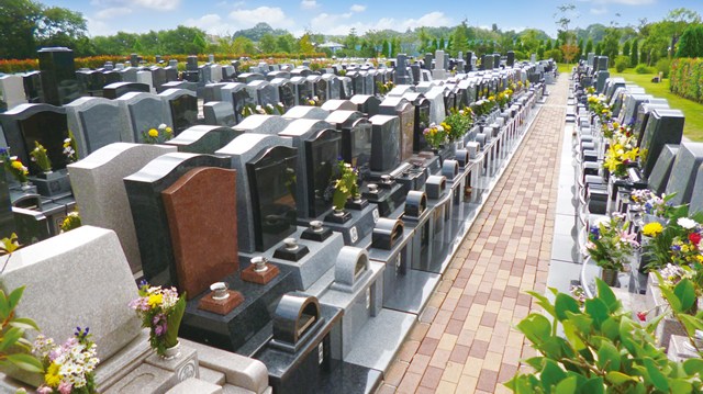 サニープレイス松戸 サニープレイス松戸