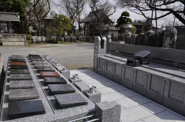 西蔵院(西藏院)_2