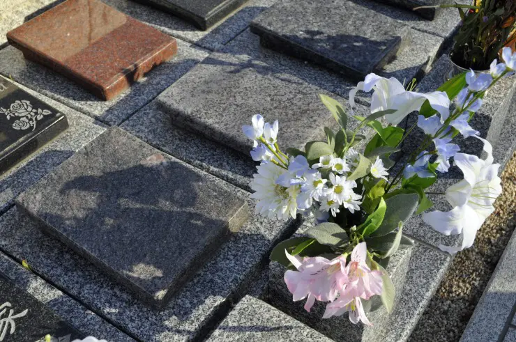 西蔵院(西藏院)_3