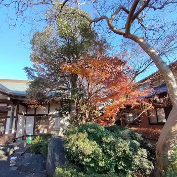 清勝院　樹木葬・永代供養墓_8