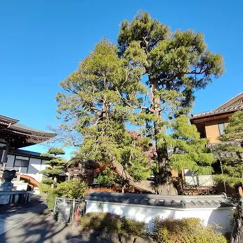 清勝院　樹木葬・永代供養墓_7