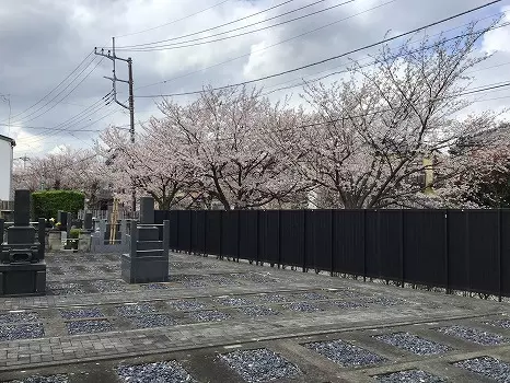 千手院_4