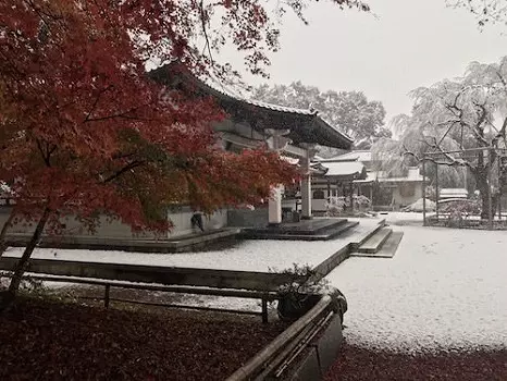 心源院のうこつぼ_5