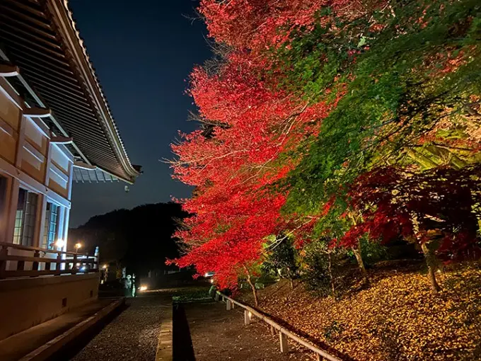 心源院のうこつぼ_8