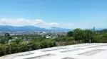 曽我梅林霊園