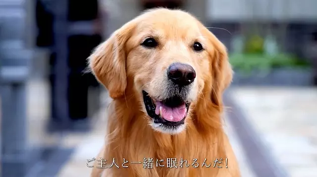 サニープレイス福寿園（福壽園）永代供養墓・樹木葬_6