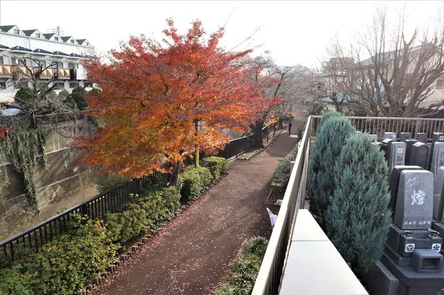 サニープレイス福寿園（福壽園）永代供養墓・樹木葬_12