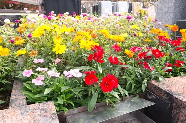 サニープレイス福寿園（福壽園）永代供養墓・樹木葬_4