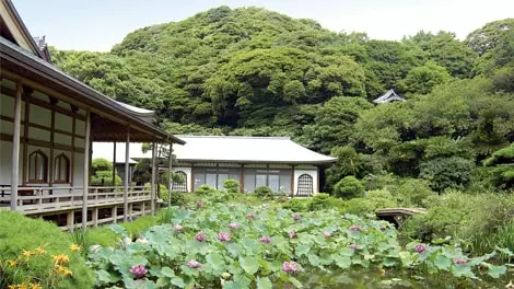 天照山蓮華院　光明寺_3