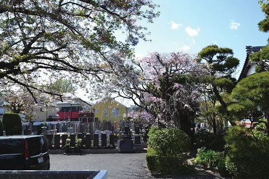 貞源寺　永代供養墓_5