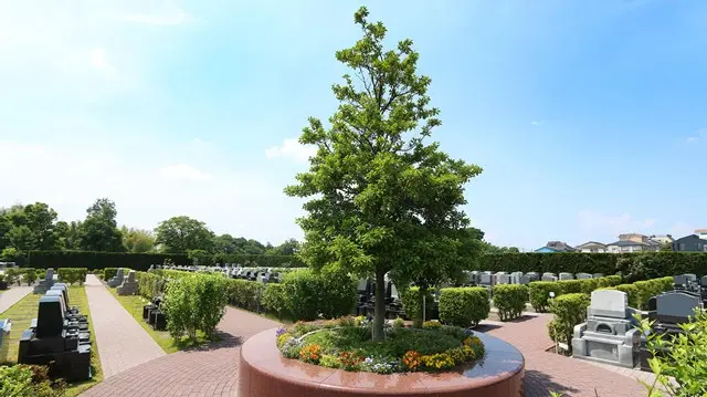 綾瀬蓼川霊園　天空の郷_5